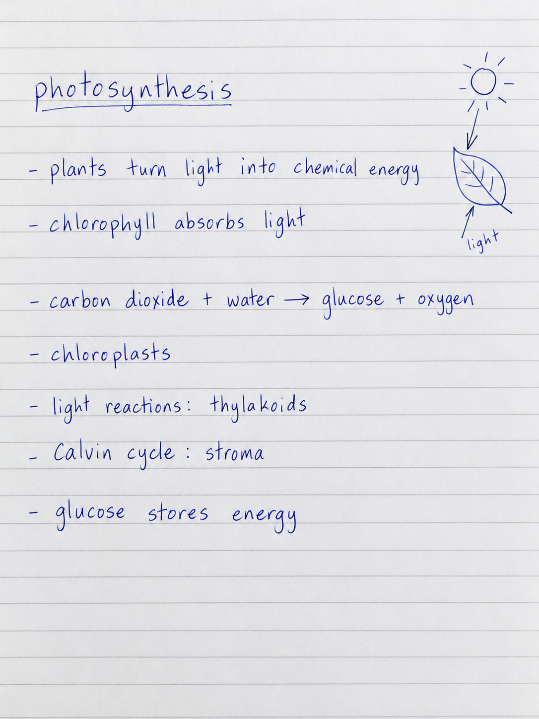 Simple handwritten photosynthesis notes in blue ink